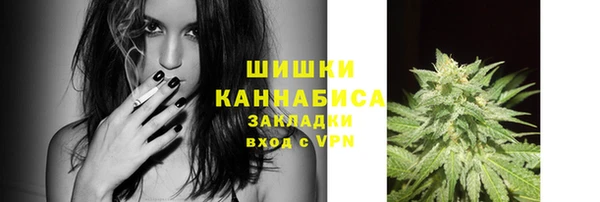 скорость Лиски